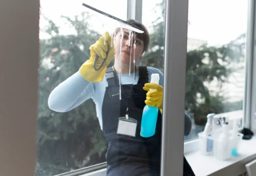 Nettoyage de vitres intérieures et extérieures à Germaine